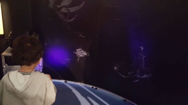 Cyclops à L'Aquarium Tropical