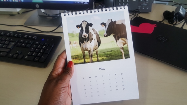 Calendriers personnalisés POPCARTE