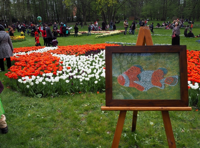 La Fête des Tulipes