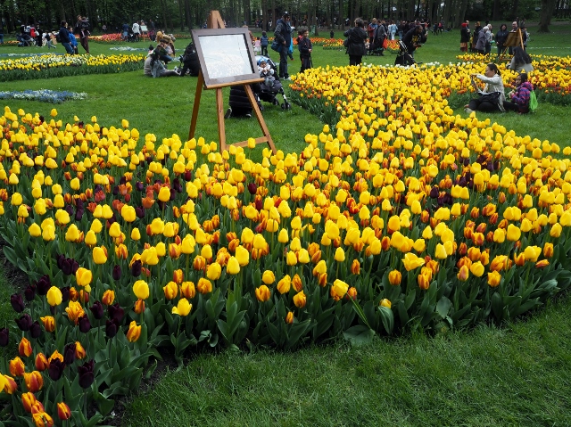 La Fête des Tulipes