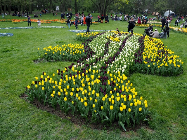 La Fête des Tulipes