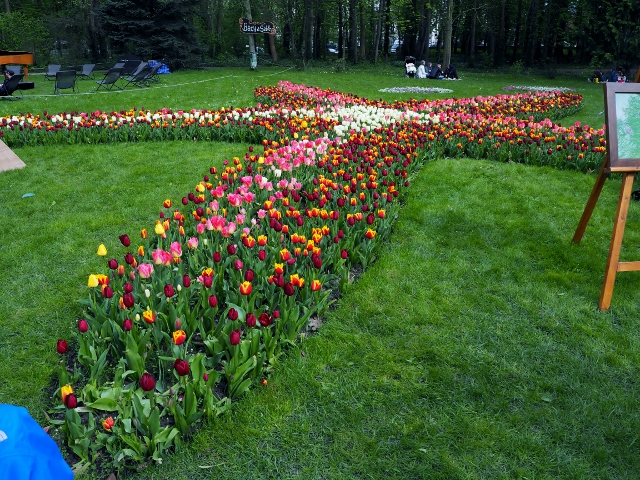 La Fête des Tulipes