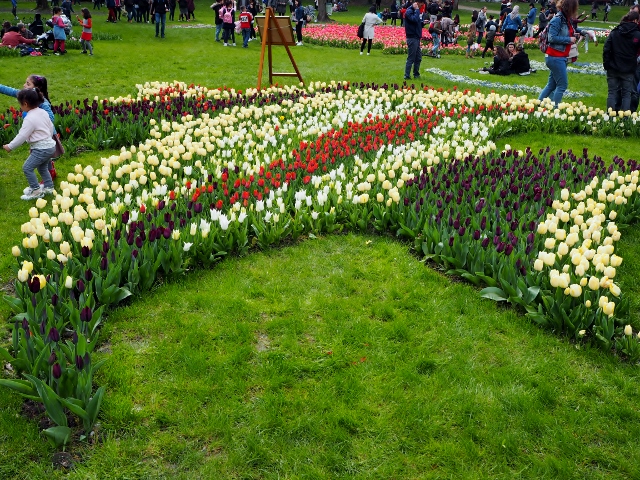 La Fête des Tulipes