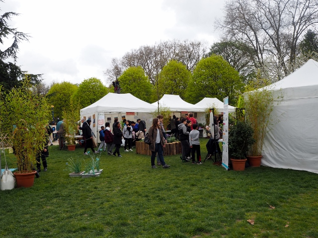 La Fête des Tulipes