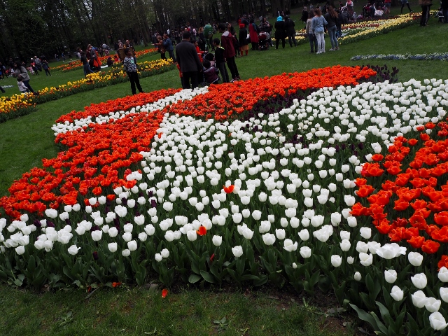 La Fête des Tulipes