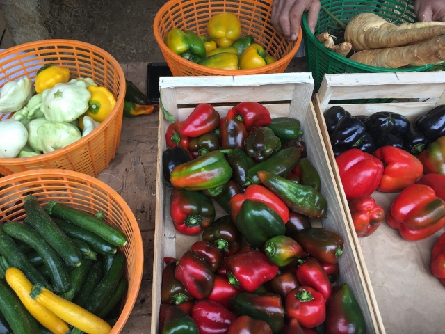 Ma modeste contribution pour le respect de l’environnement