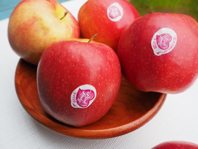 Ma modeste contribution pour le respect de l’environnement