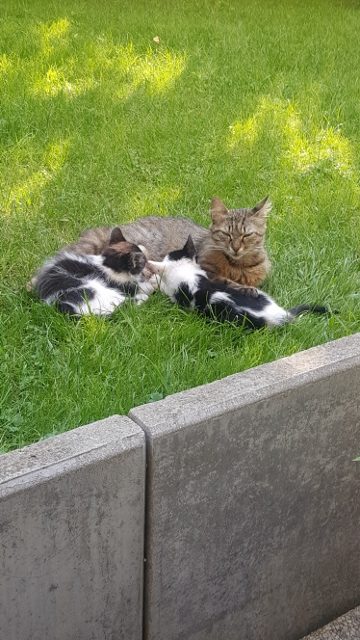 Planifier son départ en vacances ma to do list