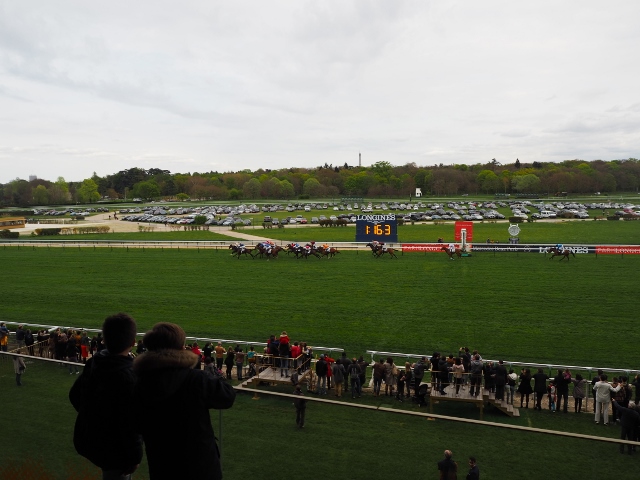 Les Dimanches au Galop