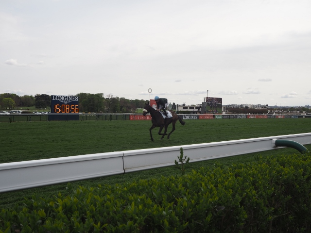 Les Dimanches au Galop