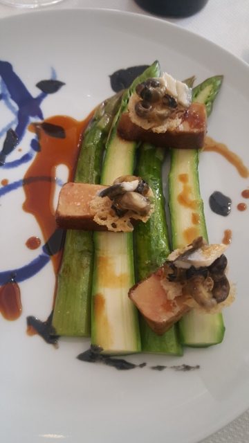 Nemea Iroise Armorique