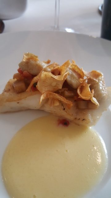 Nemea Iroise Armorique