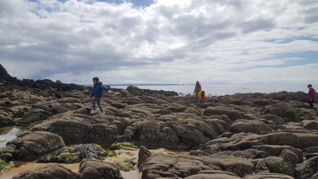 Nemea Iroise Armorique