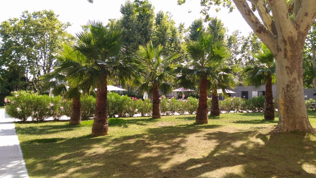 Marseille village club du soleil belle de mai