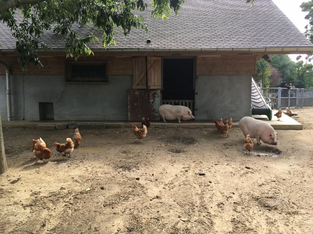 ferme des Chanteraines