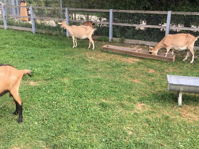 ferme des Chanteraines