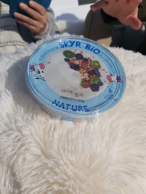 Skyr bio