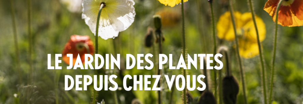 Muséum national d’Histoire naturelle