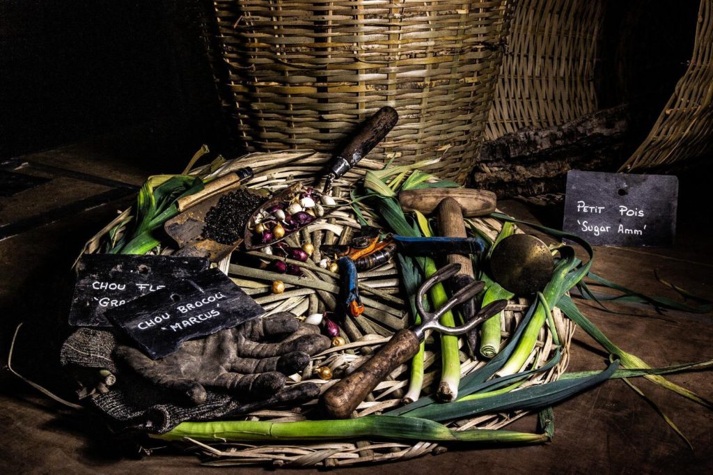 programmation hebdomadaire du château de Versailles