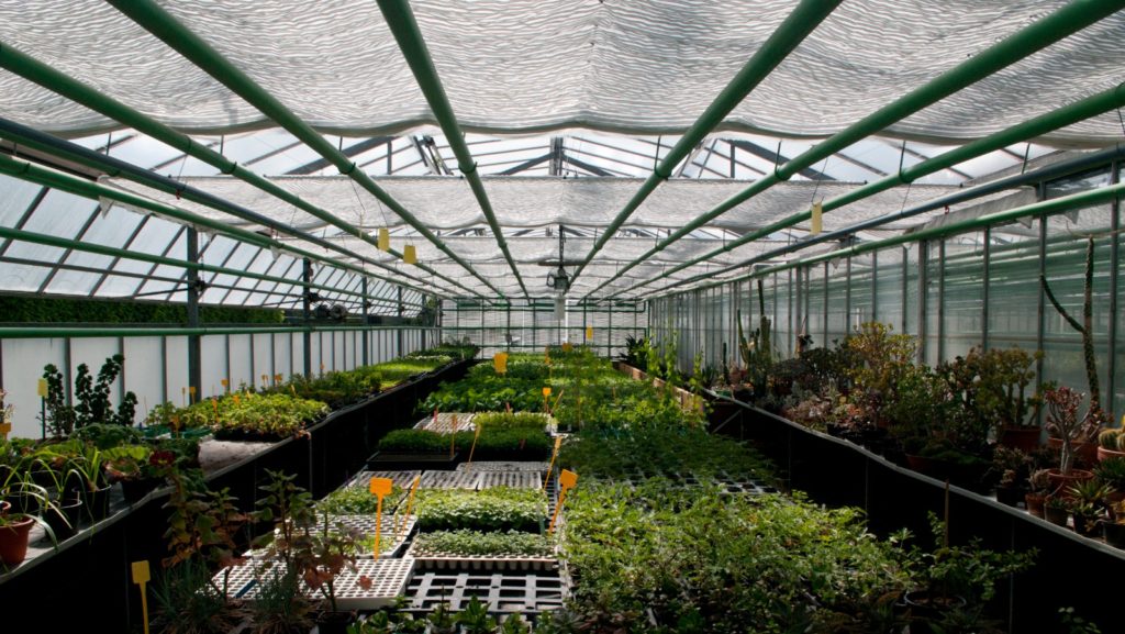 programmation hebdomadaire du château de Versailles