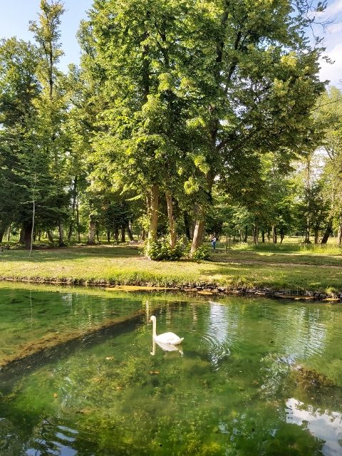 Domaine de Chantilly