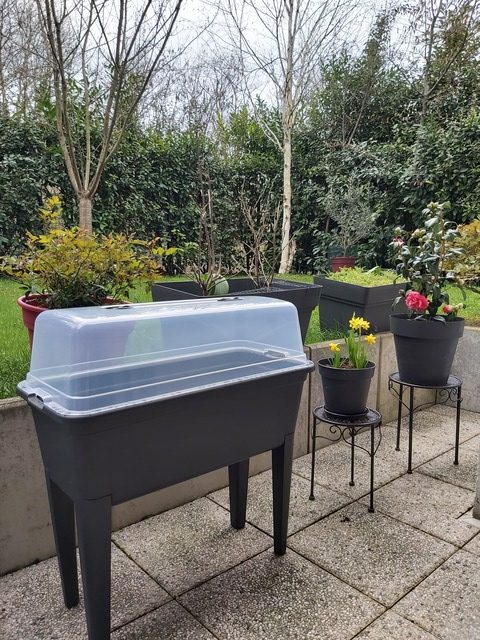 C’est le printemps