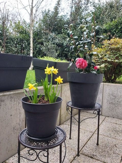 C’est le printemps