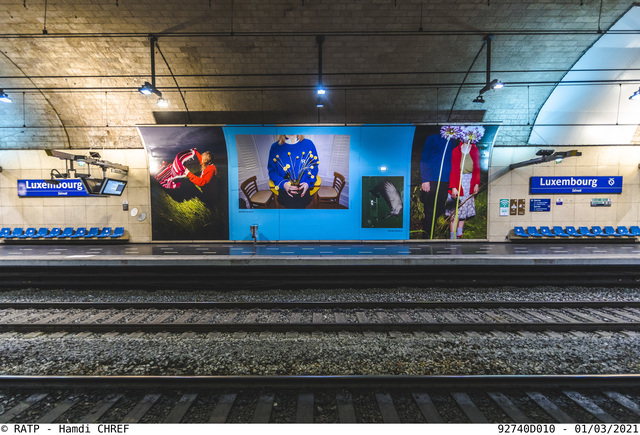 festival Circulation(s)