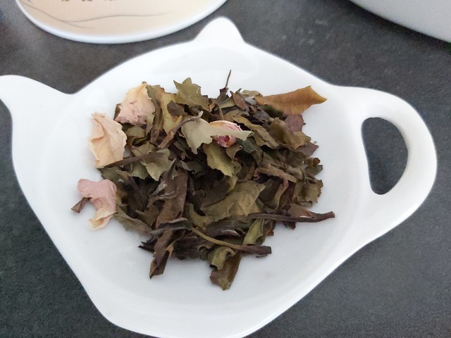 Thé Bio Antoine de Saint-Exupéry par Le Thé des Ecrivains