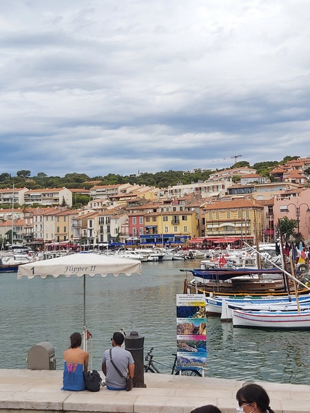 Cassis