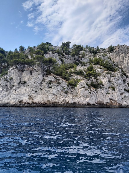 Cassis