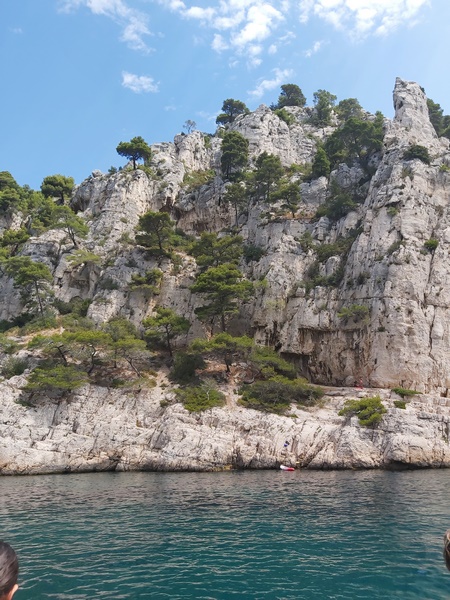 Cassis