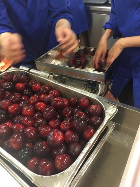 Re-belle, les confitures anti-gaspi