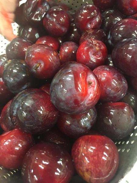 Re-belle, les confitures anti-gaspi