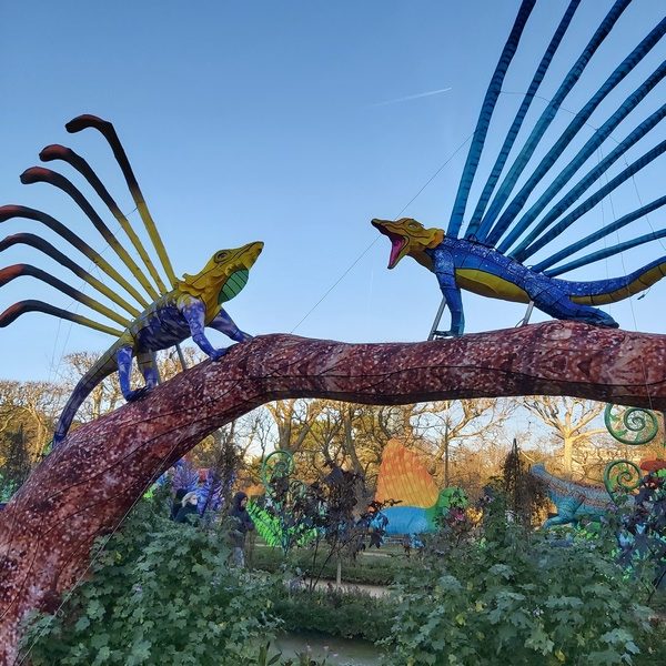 La Vie en voie d'illumination