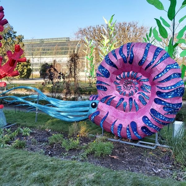 La Vie en voie d'illumination