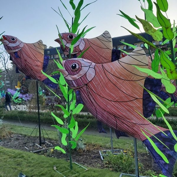 La Vie en voie d'illumination