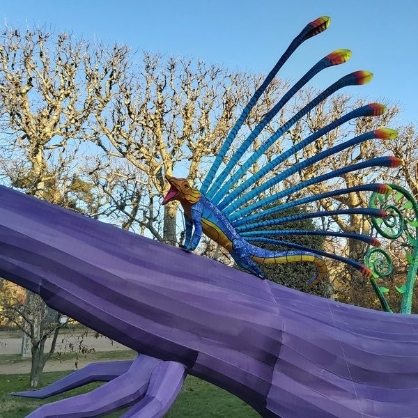 La Vie en voie d'illumination