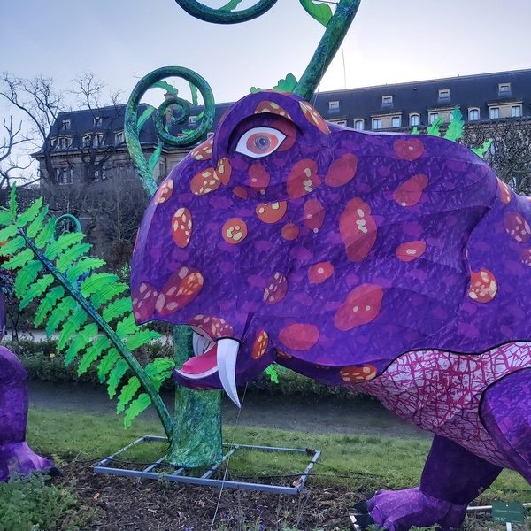 La Vie en voie d'illumination