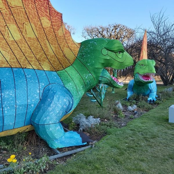 La Vie en voie d'illumination