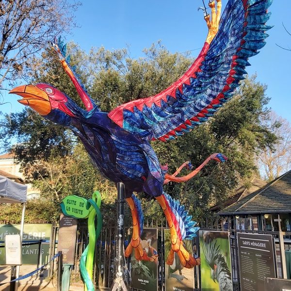 La Vie en voie d'illumination