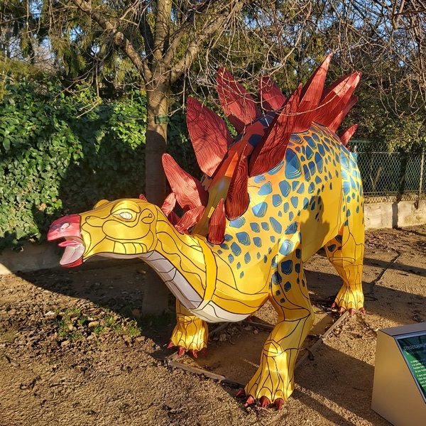 La Vie en voie d'illumination