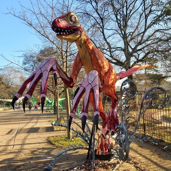 La Vie en voie d'illumination