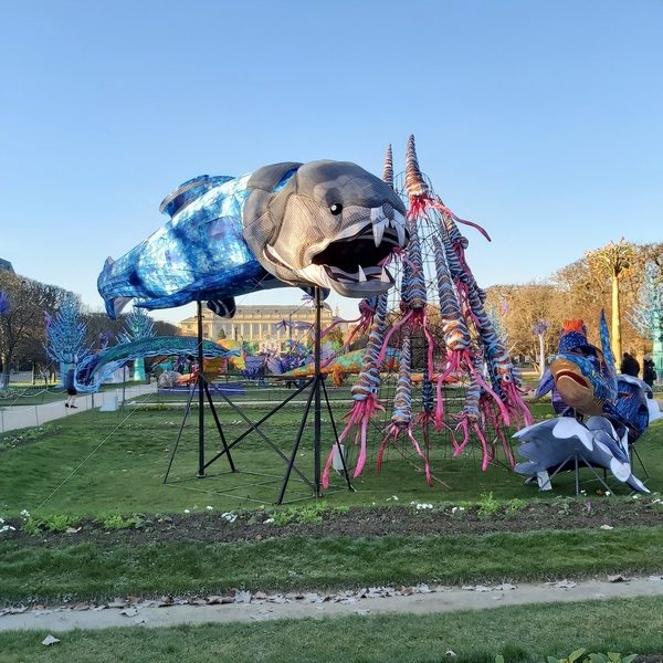 La Vie en voie d'illumination