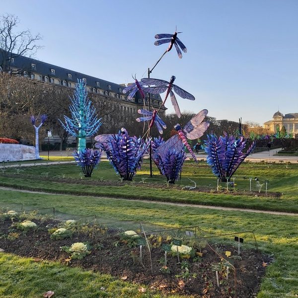 La Vie en voie d'illumination