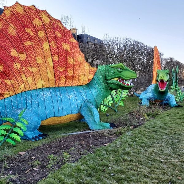 La Vie en voie d'illumination