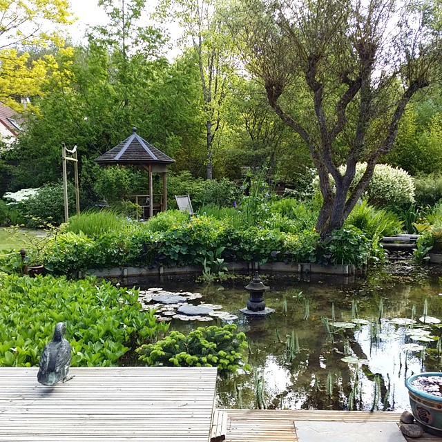 Le Jardin de la Grenouillère aux Essarts-le-Roi