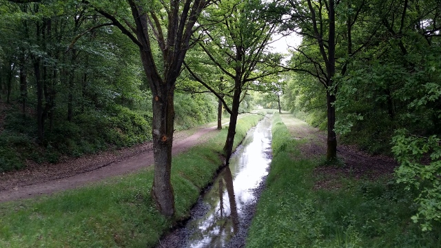 Rigoles de Veille-Eglise