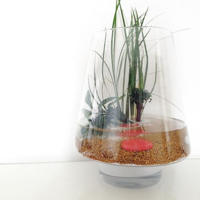 Photo : @carnetdeshopping