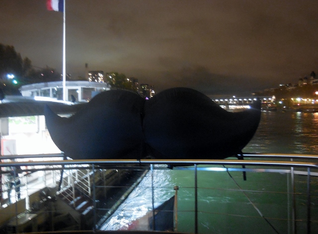 Croisière Movember Vedettes de Paris la nuit (22)
